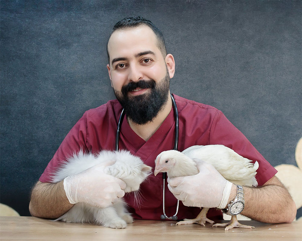 A Guide to Veterinary Cleaning Supplies