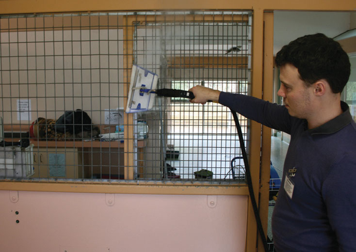 Cage Cleaning