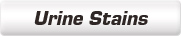 cleaning urine stains from any porous or non-porous surface