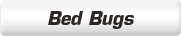 bedbugs